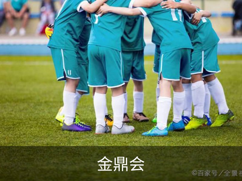 走进金鼎会